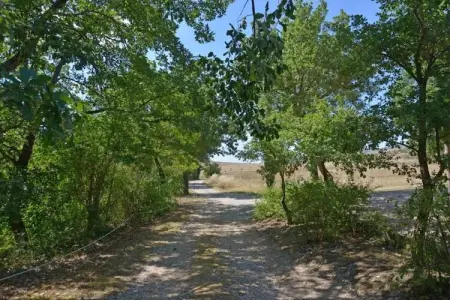 Tarugi, Vaste ferme à Pienza avec piscine - Photo 34