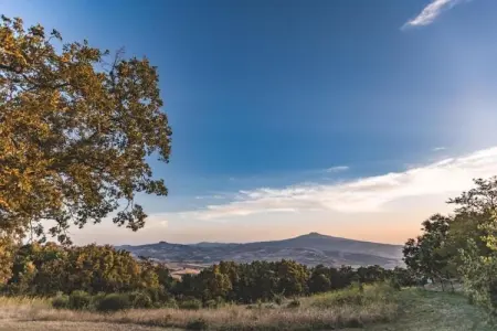 Tarugi, Vaste ferme à Pienza avec piscine - Photo 35