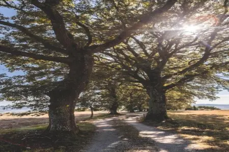Tarugi, Vaste ferme à Pienza avec piscine - Photo 38