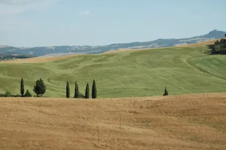 Mulino, Ferme moderne à Pienza avec piscine extérieure - Photo 6