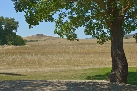Mulino, Ferme moderne à Pienza avec piscine extérieure - Photo 25