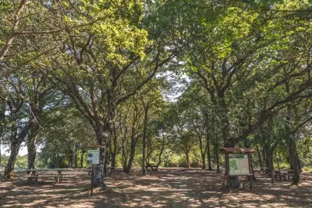 Mulino, Ferme moderne à Pienza avec piscine extérieure - Photo 32