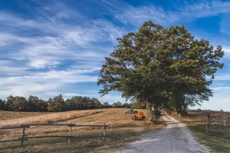 Mulino, Ferme moderne à Pienza avec piscine extérieure - Photo 33