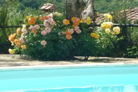 Rondine, Vieille ferme à Poggibonsi avec piscine - Photo 22