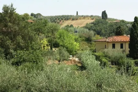 Rondine, Vieille ferme à Poggibonsi avec piscine - Photo 23