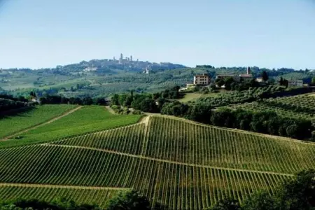 Rondine, Vieille ferme à Poggibonsi avec piscine - Photo 29