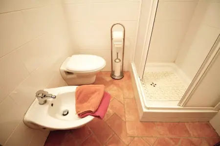 Terra, Ferme ancienne à Asciano avec piscine - Photo 24