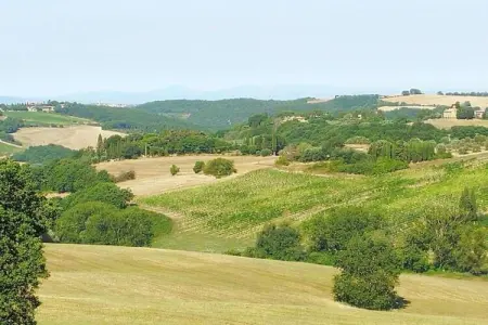 La Logetta, Ferme rustique à Montepulciano avec piscine - Photo 36