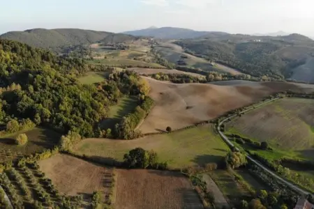 La Logetta, Ferme rustique à Montepulciano avec piscine - Photo 38