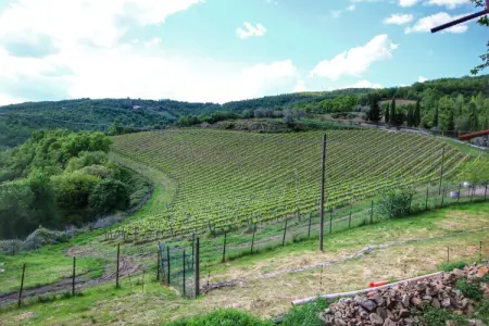 Mimosa, Ferme luxueuse à Montepulciano avec Piscine - Photo 33