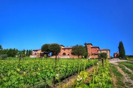 Margherita, Ferme de charme à Montepulciano avec piscine - Photo 9