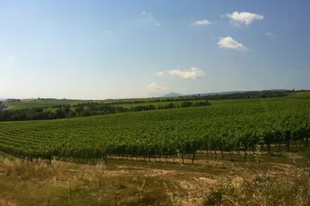 Margherita, Ferme de charme à Montepulciano avec piscine - Photo 31