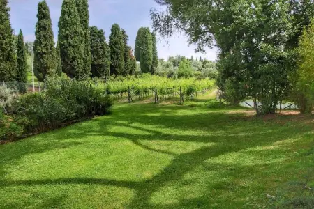 Paulonia, Villa confortable à Sinalunga avec terrasse - Photo 14