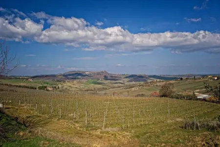 Paulonia, Villa confortable à Sinalunga avec terrasse - Photo 25