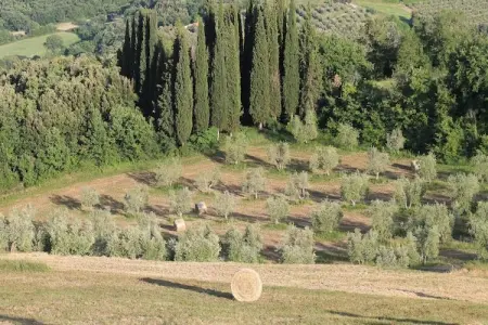 Paulonia, Villa confortable à Sinalunga avec terrasse - Photo 26