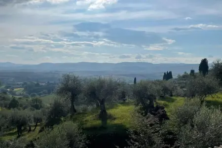 Paulonia, Villa confortable à Sinalunga avec terrasse - Photo 27