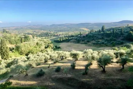 Paulonia, Villa confortable à Sinalunga avec terrasse - Photo 28