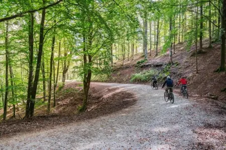 Renzo, Somptueux gîte à San Marcello Pistoiese avec piscine - Photo 26
