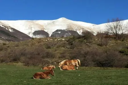 Renzo, Somptueux gîte à San Marcello Pistoiese avec piscine - Photo 32