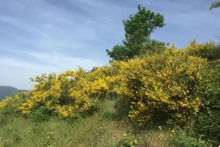 Renzo, Somptueux gîte à San Marcello Pistoiese avec piscine - Photo 36
