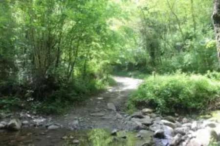 Renzo, Somptueux gîte à San Marcello Pistoiese avec piscine - Photo 37