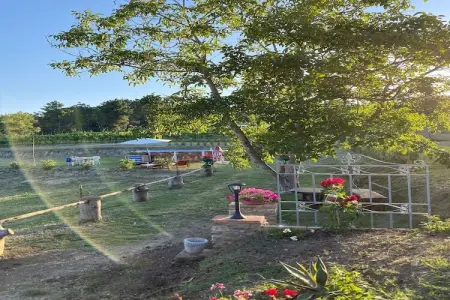 La Casa dei Nonni, Maison de vacances reposante à Chianni avec jardin, terrasse, barbecue - Photo 25