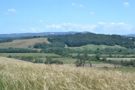 Gatterino, Belle maison de vacances avec piscine au cœur de la Toscane - Photo 22