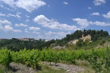 Gatterino, Belle maison de vacances avec piscine au cœur de la Toscane - Photo 25