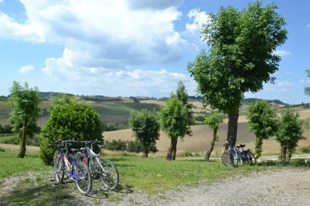 Gatterino, Belle maison de vacances avec piscine au cœur de la Toscane - Photo 35