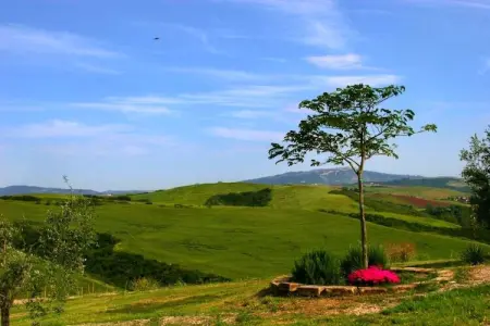 Ciclamino, Maison de vacances confortable à Peccioli avec piscine - Photo 6