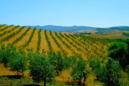 Ciclamino, Maison de vacances confortable à Peccioli avec piscine - Photo 26