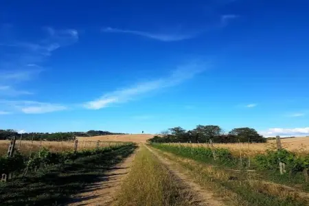 Ciclamino, Maison de vacances confortable à Peccioli avec piscine - Photo 32