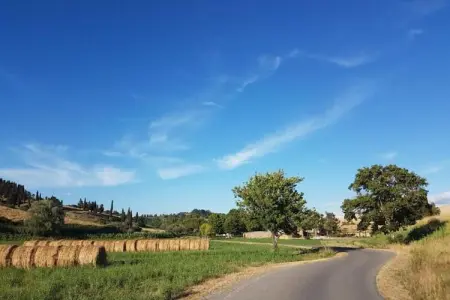 Ciclamino, Maison de vacances confortable à Peccioli avec piscine - Photo 37