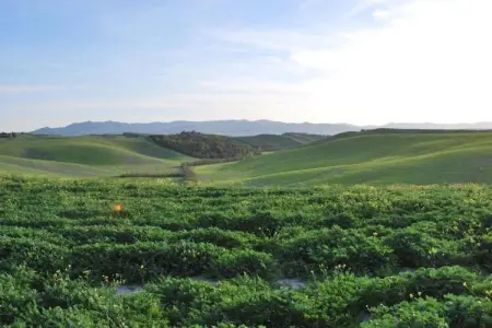 Ciclamino, Maison de vacances confortable à Peccioli avec piscine - Photo 38