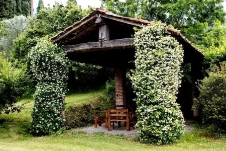 Appartamento Luna, Appartement paisible à Ghizzano avec piscine - Photo 18