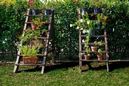 Appartamento Luna, Appartement paisible à Ghizzano avec piscine - Photo 22