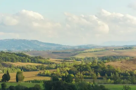 Appartamento Luna, Appartement paisible à Ghizzano avec piscine - Photo 29