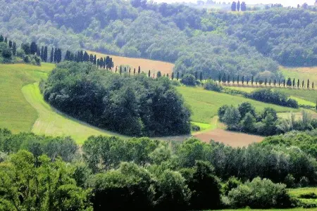 Appartamento Luna, Appartement paisible à Ghizzano avec piscine - Photo 30