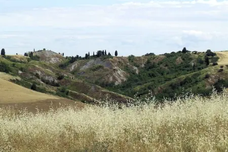 Appartamento Luna, Appartement paisible à Ghizzano avec piscine - Photo 31