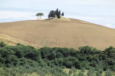 Appartamento Luna, Appartement paisible à Ghizzano avec piscine - Photo 32