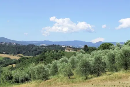 Appartamento Luna, Appartement paisible à Ghizzano avec piscine - Photo 33