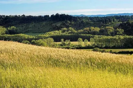 Appartamento Luna, Appartement paisible à Ghizzano avec piscine - Photo 34