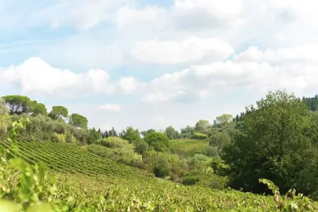 Appartamento Luna, Appartement paisible à Ghizzano avec piscine - Photo 39