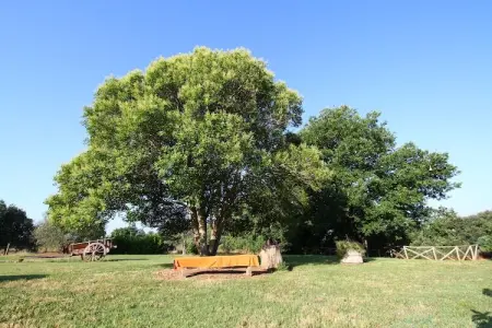 Piano, Ferme traditionnelle à Sorano avec piscine - Photo 32