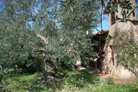 Le Cannelle, Maison de vacances avec jardin à Monte Argentario - Photo 28