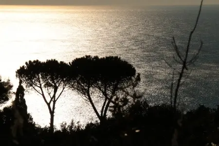 Le Cannelle, Maison de vacances avec jardin à Monte Argentario - Photo 37