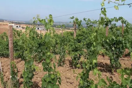 Era una Volta, Une maison de vacances pour 6 personnes à Bucine en Toscane - Photo 32