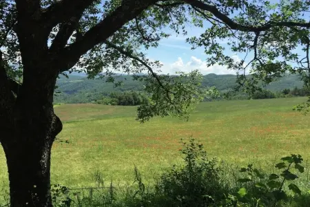Seriola, Charmante ferme à Apecchio avec piscine - Photo 28