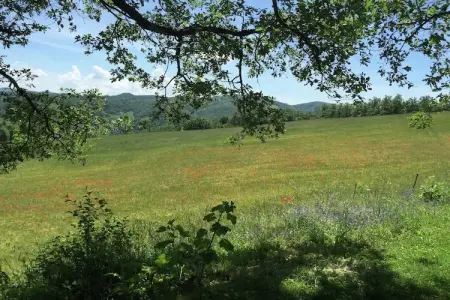 Seriola, Charmante ferme à Apecchio avec piscine - Photo 30