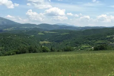 Scalocchio, Ferme à Apecchio avec piscine, patio, jardin, barbecue - Photo 30